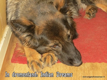 Dreaming of Indians